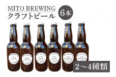 第１回水戸さきがけビジネス大賞 優秀賞受賞！クラフトビール　6本詰め合わせ【お酒 クラフトビール ビール ふるさと納税 水戸市 茨城県】（GW-1）