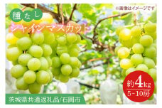 【2025年9月より順次発送】シャインマスカット 約4kg（5～10房）【茨城県共通返礼品/石岡市】【葡萄 ぶどう マスカット フルーツ 果物 くだもの 茨城県 30000円以内 3万円以内】（IT-16）