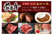 【定期便 全6回】 肉 常陸牛 6ヶ月 定期便 Aコース ハンバーグ 焼肉 すき焼き レトルトカレー コンビーフ ギフト セット お中元 食べ物ギフト対応 【肉のイイジマ】 茨城県 水戸市（DU-107）