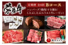 【定期便 全6回】常陸牛 6ヶ月 定期便 Bコース お中元 食べ物 肉 ハンバーグ 焼肉 すき焼き しゃぶしゃぶ レトルト 常陸牛カレー ビーフカレー セット ギフト対応 【肉のイイジマ】 茨城県 水戸市（DU-108）