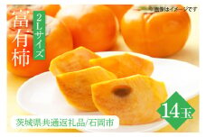 【先行予約】【2025年10月下旬以降発送】【数量限定】富有柿 2L 14玉【茨城県共通返礼品/石岡市】【水戸市 茨城県 カキ 柿 フルーツ 果物 くだもの 富有柿 ジューシー 甘い】（IU-10）