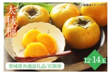 【先行予約】【2025年10月下旬以降発送】【数量限定】太秋柿  12玉～14玉【茨城県共通返礼品/石岡市】【水戸市 茨城県 カキ 柿 フルーツ 果物 くだもの 太秋柿 種なし ジューシー 甘い】（IU-11）
