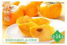 【先行予約】【2025年10月中旬以降発送】【数量限定】貴秋柿 2L 12～14玉【茨城県共通返礼品/石岡市】【水戸市 茨城県 カキ 柿 フルーツ 果物 くだもの 貴秋柿 ジューシー 甘い】（IU-12）