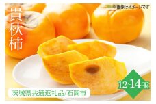 【先行予約】【2025年10月中旬以降発送】【数量限定】貴秋柿 2L 12～14玉【茨城県共通返礼品/石岡市】【水戸市 茨城県 カキ 柿 フルーツ 果物 くだもの 貴秋柿 ジューシー 甘い】（IU-12）