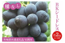 【2025年9月より順次発送】BKシードレス 約2kg（4～5房）【茨城県共通返礼品/石岡市】【葡萄 ぶどう マスカット フルーツ 果物 くだもの 水戸市 茨城県】(IT-19)