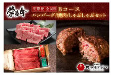 【定期便 全3回】 常陸牛 3ヶ月 定期便 Bコース お中元 食べ物 肉 常陸牛ハンバーグ 10個 無添加 冷凍 焼き肉 カルビ 焼肉 しゃぶしゃぶ ギフト セット ふるさと納税 【肉のイイジマ】 茨城県(DU-104)