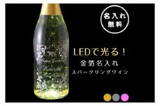 LEDで光る！金箔舞う猫の名入れ彫刻スパークリングワイン【スパークリングワイン 金箔 彫刻ボトル プレゼント ギフト 就職祝い 誕生日 父の日 母の日 結婚祝い 新築祝い】（HW-9）