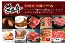 【定期便 全12回】 高級肉 常陸牛 12ヶ月 定期便 Aコース 148000円 毎月 常陸牛ハンバーグ 焼肉 すき焼き しゃぶしゃぶ コンビーフ レトルトカレー ギフト セット お中元 肉 ギフト対応 【肉のイイジマ】（DU-111）