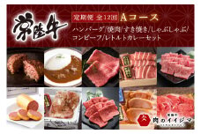 【定期便 全12回】 高級肉 常陸牛 12ヶ月 定期便 Aコース 148000円 毎月 常陸牛ハンバーグ 焼肉 すき焼き しゃぶしゃぶ コンビーフ レトルトカレー ギフト セット お中元 肉 ギフト対応 【肉のイイジマ】（DU-111）