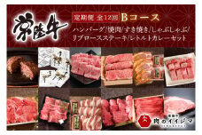 【定期便 全12回】 常陸牛 12ヶ月 定期便 Bコース お中元 食べ物 肉 ハンバーグ 焼肉 すき焼き しゃぶしゃぶ リブロース ステーキ レトルトカレー ふるさと納税 定期便 ギフト対応（DU-112）