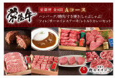 【定期便 全8回】 常陸牛 8ヶ月 定期便 Aコース お中元 肉 ハンバーグ 焼肉 すき焼き しゃぶしゃぶ フィレ サーロイン ステーキ レトルト 常陸牛カレー ビーフカレー ギフト対応 【肉のイイジマ】（DU-114）