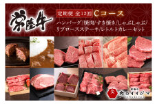【定期便 全12回】 常陸牛 12ヶ月 定期便 Cコース お中元 肉 常陸牛ハンバーグ 焼肉 すき焼き しゃぶしゃぶ リブロース ステーキ 常陸牛カレー レトルト ビーフ ギフト セット（DU-113）