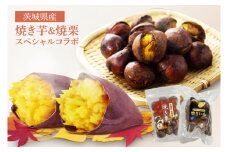 【数量限定】焼き芋と焼栗のスペシャルコラボ【やきいも やきぐり セット 人気 限定 紅はるか 笠間 栗 しっとり 甘い 10000円以内 水戸市】（BJ-4）