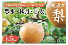 【8月下旬より発送】【数量限定】茨城県　千代田の梨(豊水・秋月・甘太いずれか)約5kg【茨城県共通返礼品/かすみがうら市】【梨 なし 果物 くだもの フルーツ 豊水 秋月 おまかせ 濃厚 甘い かすみがうら市 共通返礼品 水戸市】（IV-1）