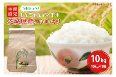 【令和6年度産】 茨城県産コシヒカリ 生産直売 うまかっぺ！しんちゃん家のお米 10kg【米 おこめ こしひかり 農家直送 直送 水戸市 茨城県】(JG-8)