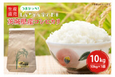 【令和6年度産】 茨城県産コシヒカリ 生産直売 うまかっぺ！しんちゃん家のお米 10kg【米 おこめ こしひかり 農家直送 直送 水戸市 茨城県】(JG-9)
