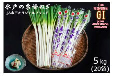 【12月以降発送】JA水戸のオリジナルブランド品！「水戸の柔甘ねぎ」地理的表示（GI）保護制度登録の産品です！【ネギ オリジナルブランド 野菜 やさい 水戸市 水戸 茨城県 20000円以内 2万円以内 】（IL-2）