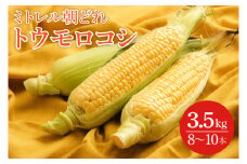 【本田農園】ミトレル朝どれトウモロコシ【とうもろこし コーン 野菜 新鮮 期間限定 朝採れ 糖度 お取り寄せ 旬 旬野菜 水戸市 茨城県】（JN-1）