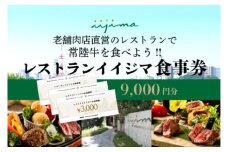  レストラン 食事券 水戸 茨城県 創業45年 レストランイイジマ 常陸牛 ディナー ランチ クーポン 寄付 3万円 9000円分 和牛 優待券 お食事券 体験 洋食 夫婦 返礼品 ギフト 故郷納税 お祝い（DU-123）