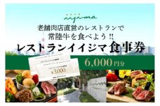  レストラン 食事券 水戸 茨城県 創業45年 レストランイイジマ 常陸牛 ディナー ランチ クーポン 寄付 2万円 6000円分 和牛 優待券 お食事券 体験 洋食 夫婦 返礼品 ギフト 故郷納税 お祝い（DU-122）