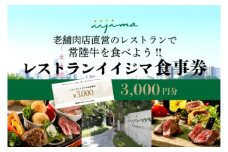  レストラン 食事券 水戸 茨城県 創業45年 レストランイイジマ 常陸牛 ディナー ランチ クーポン 寄付 1万円 3000円分 和牛 優待券 お食事券 体験 洋食 夫婦 返礼品 ギフト 故郷納税 お祝い（DU-121）