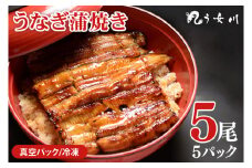 【う女川】うなぎ 蒲焼 かば焼き 5尾(5パック）【鰻 ウナギ 土用丑の日 土用 丑の日 かば焼き 蒲焼き 白焼 たれ焼き】（IX-4）