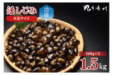 活しじみ 特選 大玉 1.5kg（500ｇ×3） 涸沼川 う女川【シジミ オルニチン ミネラル ビタミンB12 出汁 肝臓 味噌汁 スープ 茨城県 水戸市】（IX-6）
