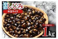 IX-14　しじみ　冷凍　中玉　1kg（500ｇ×2）砂抜き済み　涸沼川　う女川