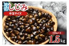 IX-15　しじみ　冷凍　中玉　1.5kg（500ｇ×3）砂抜き済み　涸沼川　う女川