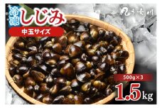 しじみ 冷凍 中玉 1.5kg（500ｇ×3）砂抜き済み 涸沼川 う女川【シジミ オルニチン ミネラル ビタミンB12 出汁 肝臓 味噌汁 スープ 茨城県 水戸市】（IX-115）