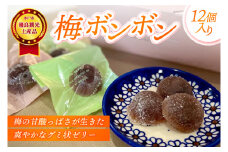 梅の甘酸っぱさが生きた爽やかなグミ状ゼリーの健康菓子「梅ボンボン」★水戸市優良観光土産品認定商品★【グミ ぐみ ゼリー ハードゼリー 梅 うめ ウメ お菓子 健康 お土産 観光 水戸市 茨城県】（JL-2）