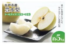 【数量限定】【先行予約】【8月下旬以降発送】豊水梨 美味さバツグン 水戸の『豊水』 約5kg（12玉～14玉）（3L～4Lサイズ）【果物 くだもの フルーツ 梨 ナシ なし 新鮮 幸水 新水 旬 お取り寄せ 期間限定 茨城県 水戸市 】（KB-1）