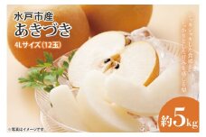 【数量限定】【先行予約】【9月上旬以降発送】いいとこどりの美味い梨 水戸の『あきづき』約5kg（12玉）(4Lサイズ）【果物 くだもの フルーツ 梨 ナシ なし 新鮮 幸水 新水 旬 お取り寄せ 期間限定 茨城県 水戸市 】（KB-2）