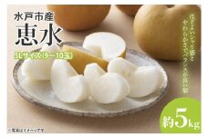【数量限定】【先行予約】【9月中旬以降発送】茨城ブランド梨『恵水』約5kg（9～10玉）5Lサイズ【プレミアム梨 大玉 高糖度 糖度 果物 くだもの フルーツ 梨 ナシ なし 新鮮 幸水 新水 旬 お取り寄せ 期間限定 茨城県 水戸市 】（KB-3）
