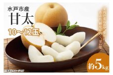 【数量限定】【先行予約】【9月中旬以降発送】梨 つくば生まれ水戸育ち『甘太』 約5kg（10～12玉）【果物 くだもの フルーツ 梨 ナシ なし 新鮮 幸水 新水 旬 お取り寄せ 期間限定 茨城県 水戸市 】（KB-4）