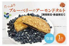 【期間限定！数量限定！】【パティスリーマダム・ディレイ】たっぷりブルーベリーのアーモンドタルト 1ホール 冷凍【ブルーベリー アーモンド ケーキ アーモンドケーキ スイーツ 贈答 ギフト ご褒美 記念日 水戸市 茨城県】（JV-1）
