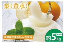 【9月上旬より発送】【数量限定】梨（豊水）5kg【茨城県共通返礼品/石岡市】【果物 くだもの フルーツ ナシ なし 幸水 新水 新鮮 旬 お取り寄せ 期間限定 茨城県 水戸市 】（KL-3）