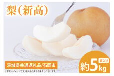 【9月下旬より発送】【数量限定】梨（新高）5kg【茨城県共通返礼品/石岡市】【果物 くだもの フルーツ ナシ なし 新鮮 旬 お取り寄せ 期間限定 茨城県 水戸市 】（KL-4）