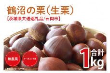 【先行予約】【2025年9月中旬より順次発送】石岡市鶴沼の栗（生栗）1kg（茨城県共通返礼品/石岡市）【くり 栗 農薬不使用 オーガニック オーガニッ栗 珍しい 希少 秋 茨城県産 果物 果樹 栗ご飯 水戸市】（KN-4）