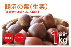 【先行予約】【2025年9月中旬より順次発送】石岡市鶴沼の栗（生栗）1kg（茨城県共通返礼品/石岡市）【くり 栗 農薬不使用 オーガニック オーガニッ栗 珍しい 希少 秋 茨城県産 果物 果樹 栗ご飯 水戸市】（KN-4）