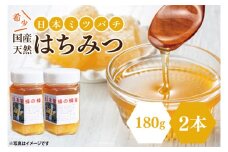 【先行予約】日本ミツバチの国産天然はちみつ 360g（180g×2本）【希少 数量限定 期間限定 ハチミツ 蜂蜜 国産ハチミツ 非加熱 天然 水戸市 茨城県】(KH-2)