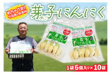 【11月より順次発送】話題の新食材！芽子にんにく 1箱（1袋6個入り×10） 芽も根もまるごと食べられる！【ニンニク ガーリック GABA ギャバ レーアミノ酪酸 臭わない スタミナ 話題 免疫 健康 元気 茨城県産 水戸市】（KJ-3）