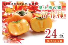 【先行予約】【11月頃より発送】献上柿出荷組合の富有柿3L 24玉【茨城県共通返礼品／石岡市】【かき 柿 八郷 果物 フルーツ 茨城県 皇室】（GP-4）