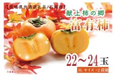 【11月中旬より発送】献上柿出荷組合の富有柿3L 22～24玉【茨城県共通返礼品／石岡市】【かき 柿 八郷 果物 フルーツ 茨城県 皇室】（GP-4）