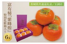 【先行予約】【数量限定】『紫峰煌（しほうのきらめき』6玉　希少！献上柿出荷組合の最高級の厳選富有柿！【茨城県共通返礼品／石岡市】【かき 柿 八郷 果物 フルーツ 茨城県 高級フルーツ 高級 厳選】（GP-5）