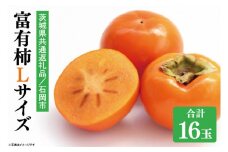【10月下旬以降出荷予定】【先行予約】富有柿 L16玉 (茨城県共通返礼品／石岡市)【柿 かき 甘柿 フルーツ 果物 くだもの 数量限定 茨城県 】（KZ-1）