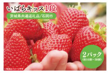 いちご いばらキッス1段（２パック）(茨城県共通返礼品／石岡市) 【苺 イチゴ 有機栽培 フルーツ 果物 濃厚 フレッシュ 茨城県】（KO-1）