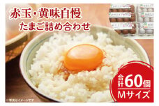 【数量限定】赤玉・黄味自慢 たまご詰め合わせ60個【卵 玉子 タマゴ 新鮮 タンパク質 目玉焼き 茨城県 水戸市】（LB-2）