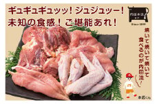 奥久慈しゃも一羽セット【しゃも 軍鶏 国産 鶏肉 一羽丸ごと 真空包装 真空 小分け 冷凍 水戸市 水戸 茨城県 30000円以内 3万円以内】（EC-15）
