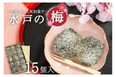 【木村屋本店】水戸銘菓 水戸の梅 15個入り 160年以上愛される老舗和菓子店【和菓子 お菓子 スイーツ デザート あんこ こし餡 求肥 お土産 老舗 水戸市 茨城県 】（JR-1）